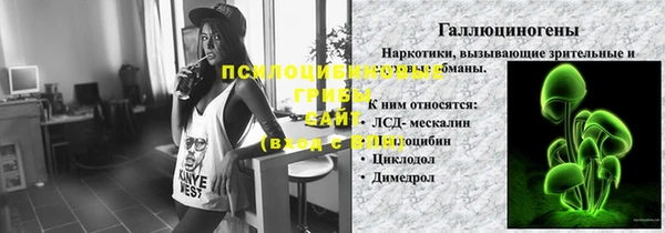 ешки Бородино