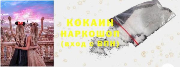 ешки Бородино