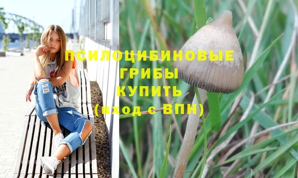 мдпв Бронницы