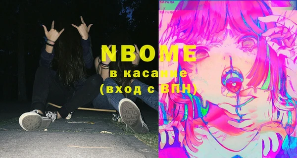 ешки Бородино