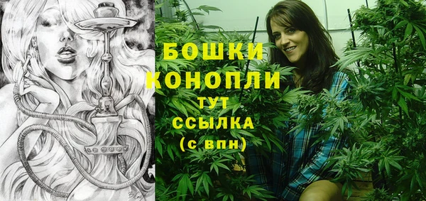 ешки Бородино