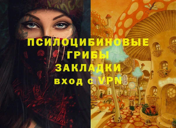 ешки Бородино