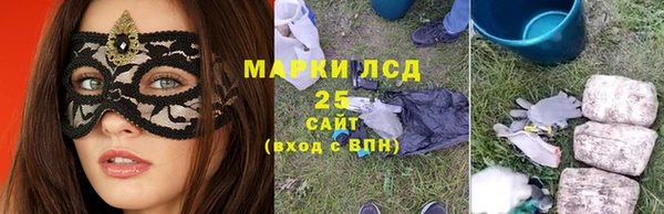 ешки Бородино