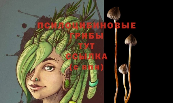 ешки Бородино
